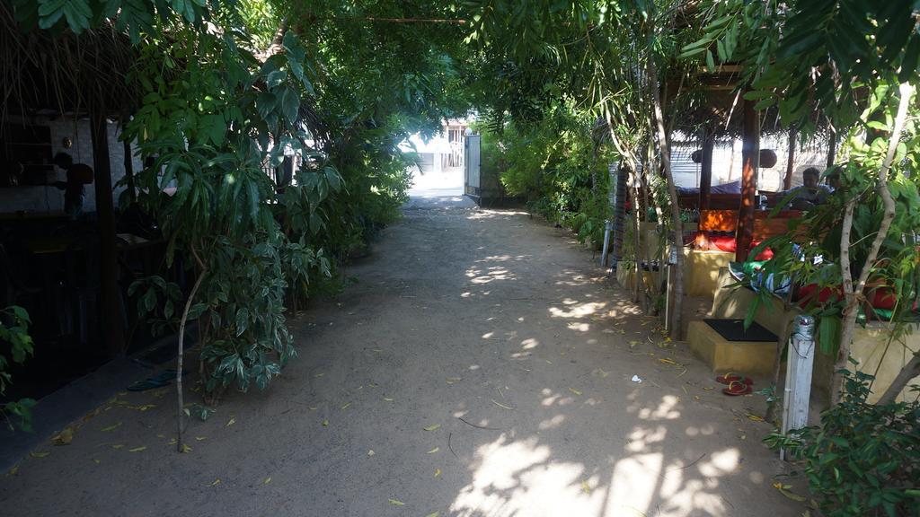 Zimbay Guest House Vịnh Arugam Ngoại thất bức ảnh