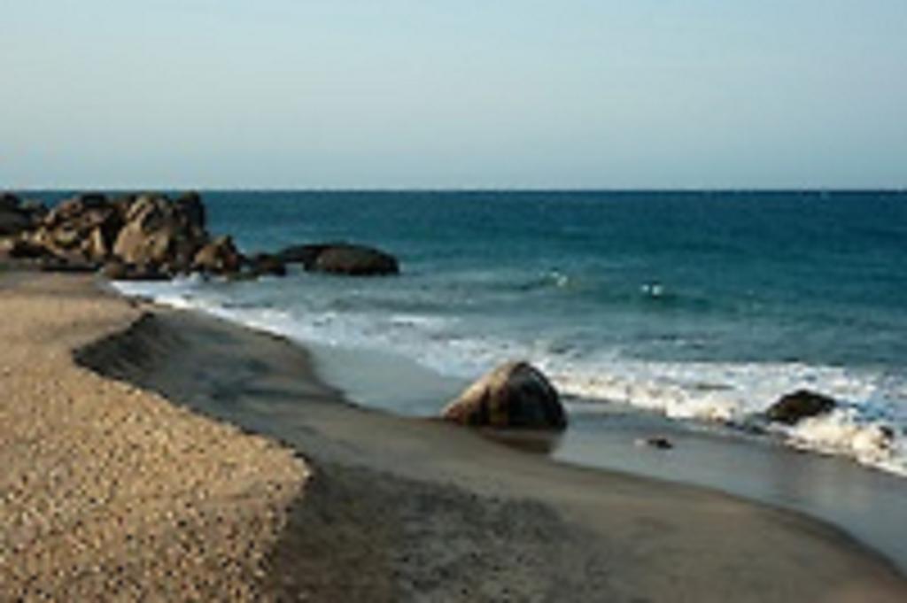 Zimbay Guest House Vịnh Arugam Ngoại thất bức ảnh